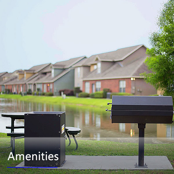 Features and Amenities